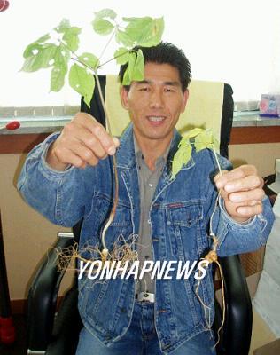 산삼정 이미지