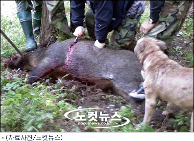 도토리 이미지