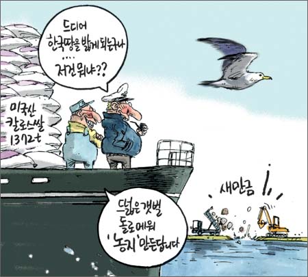 칼로스 이미지