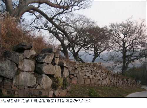 숲쟁이 이미지