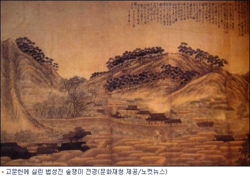 숲쟁이 이미지