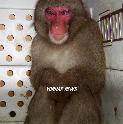 팡팡노래방 이미지