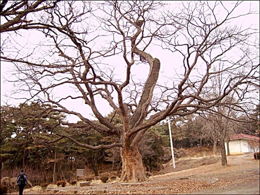 세상살이 이미지