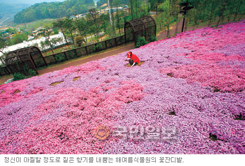 수목원꽃식물원 이미지