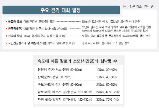 20070514070709.856.0.jpg