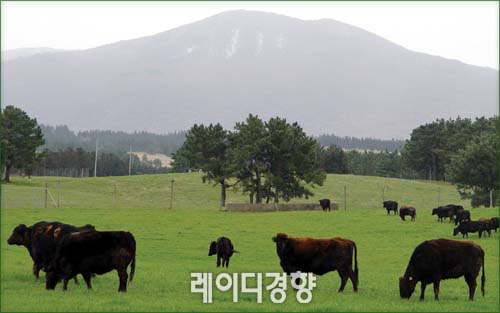 봉화축산유통 이미지