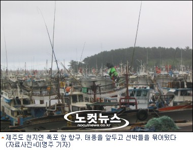 마니 이미지