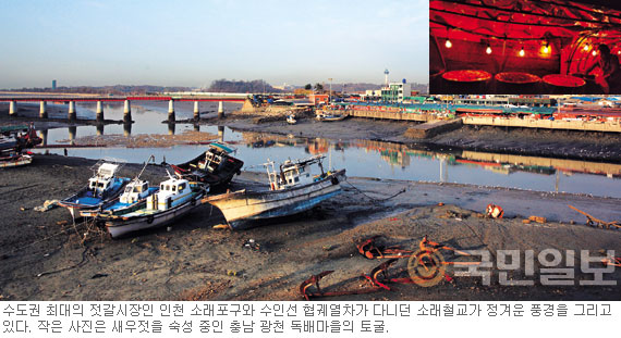 서해바다젓갈 이미지