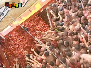스페인, 토마토 축제로 '들썩'