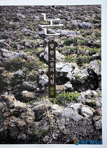 밥한그릇 이미지